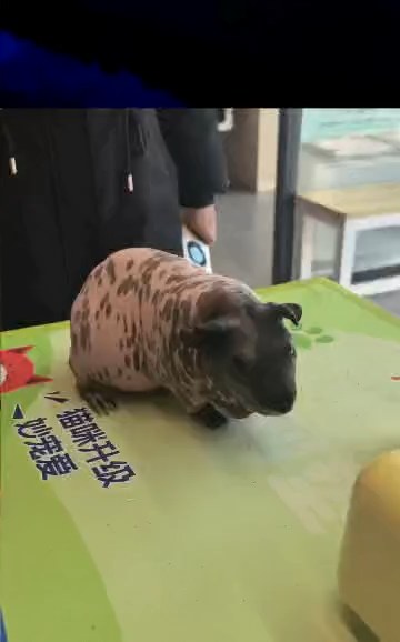 恢复期