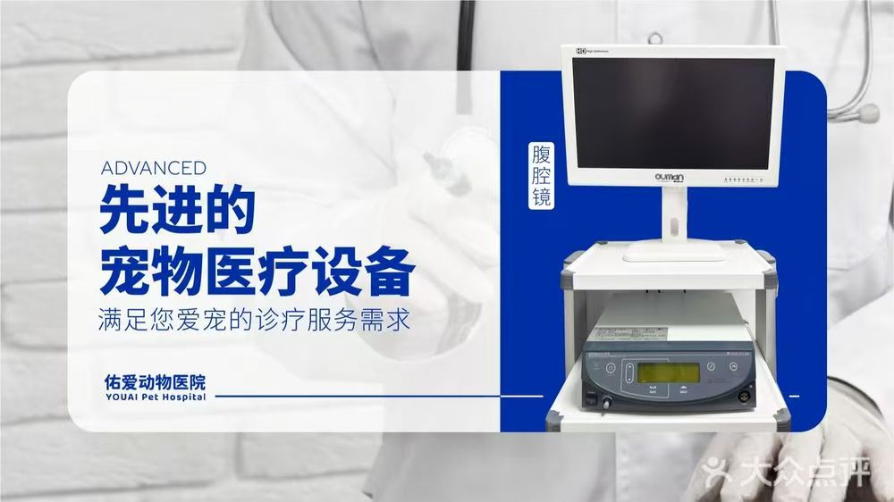 内窥镜/腹腔镜 上海奥华光电