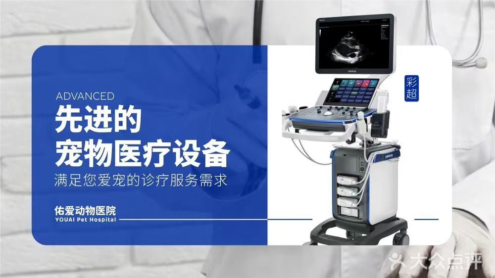 多普勒彩超 迈瑞 Mindray Vetus 7S